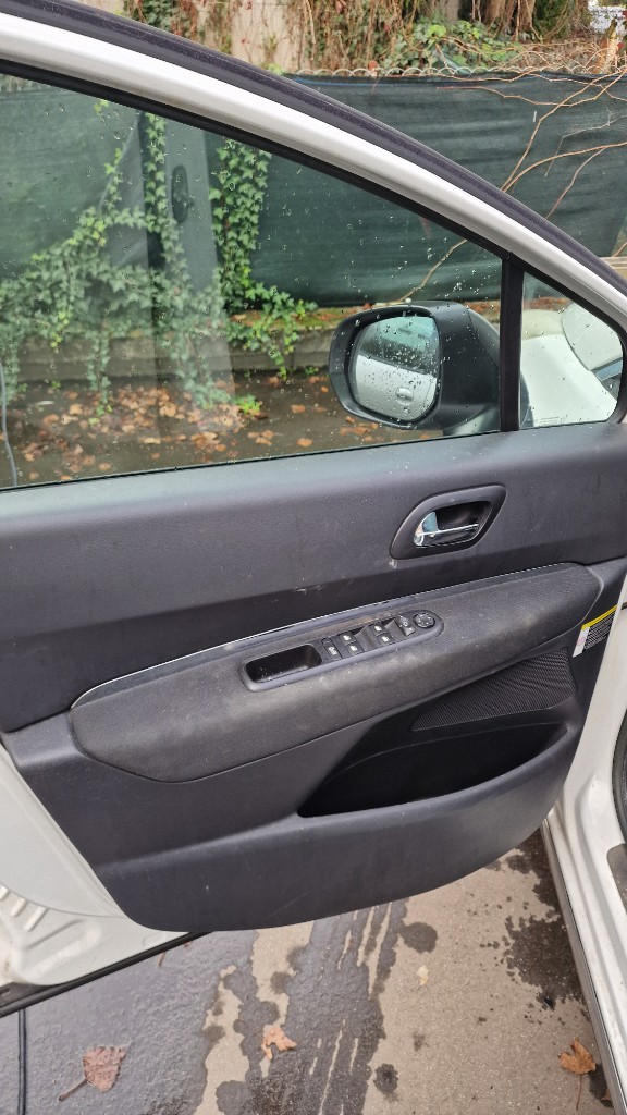 Avant nettoyage porte 3008